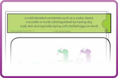 Vocabulary Definition Strips