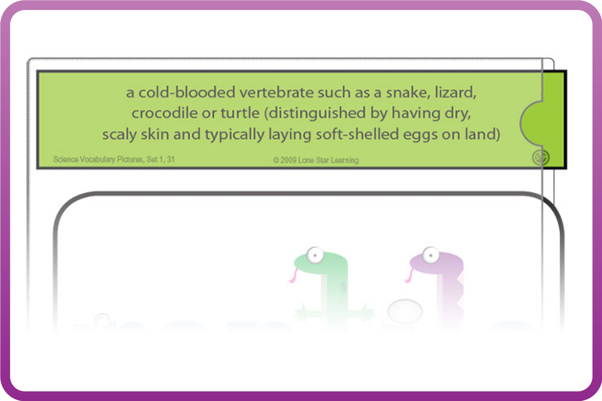 Vocabulary Definition Strips